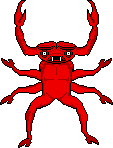 Scarlet Beetle