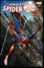 Amazing Spider-Man: Amazing Grace (2016) #001.3