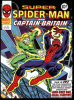 Super Spider-Man and Captain Britain (1977) #246