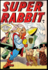 Super Rabbit (1944) #014