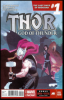 Thor: God Of Thunder (2013) #019.NOW