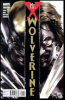 Wolverine - Mr. X (2010) #001