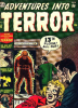 Adventures Into Terror (1950) #012