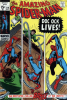 Amazing Spider-Man (1963) #089