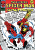 Super Spider-Man and Captain Britain (1977) #231