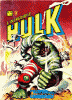 Incredibile Hulk (1980) #014