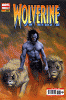 Wolverine (1994) #166